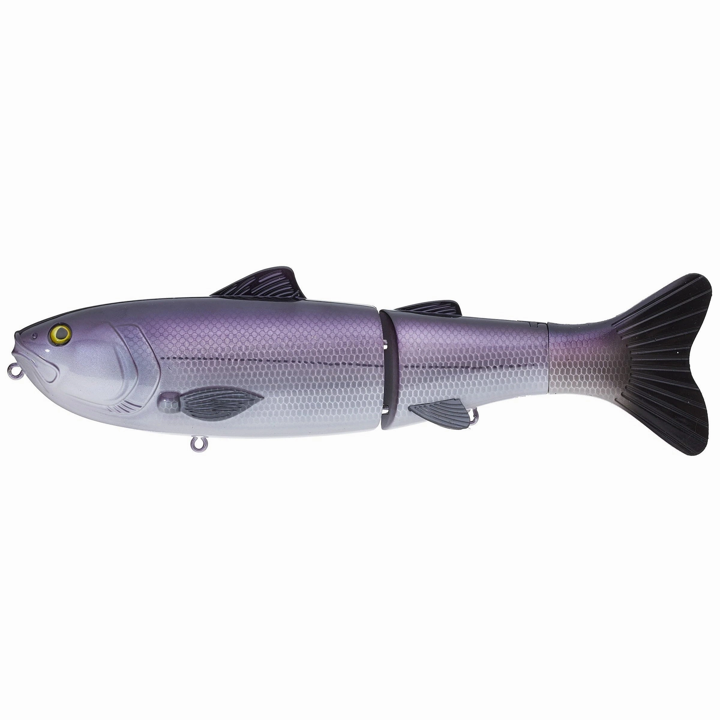 Baitsanity Explorer Glide Gen 2