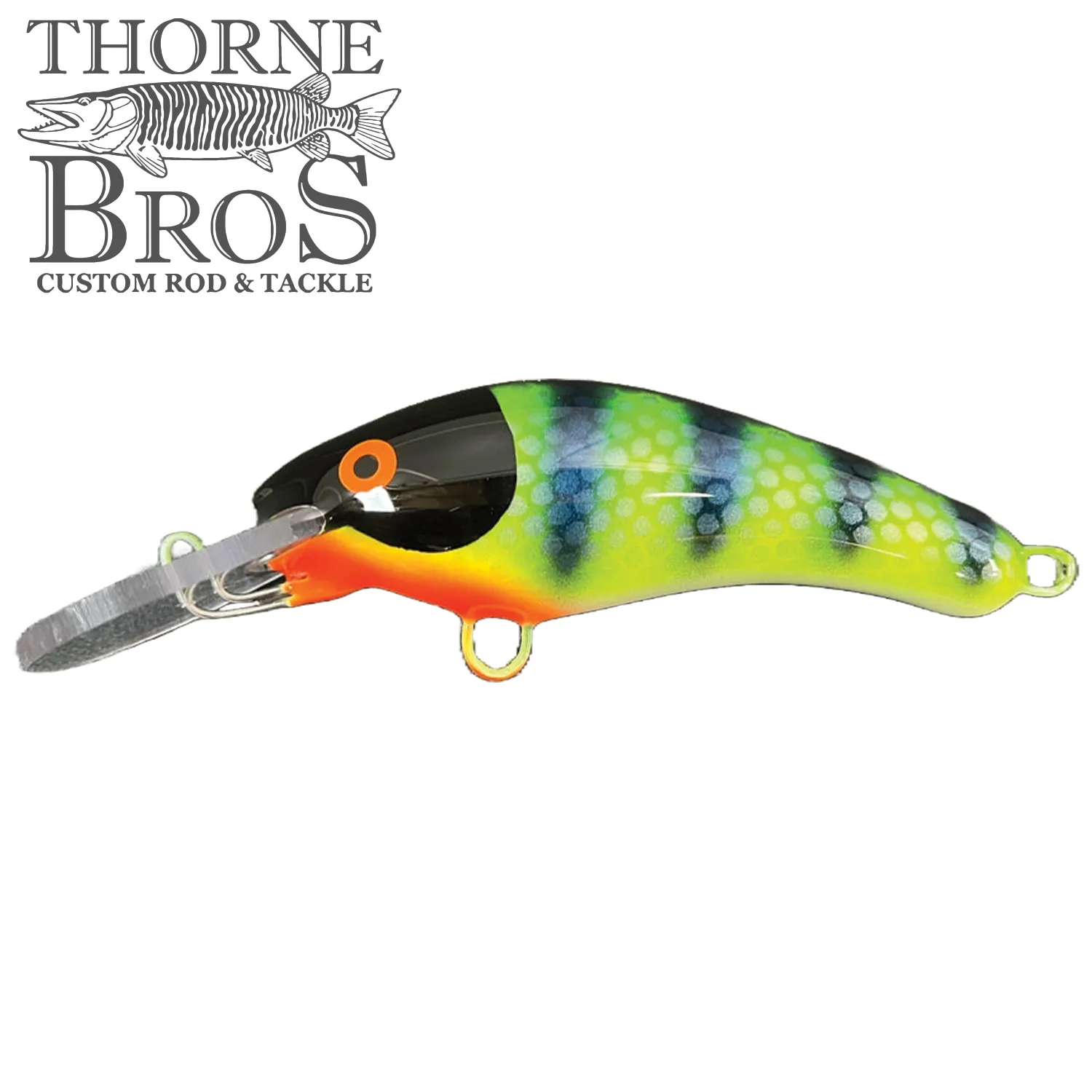 Blue Water Baits 5" K.O. Shad
