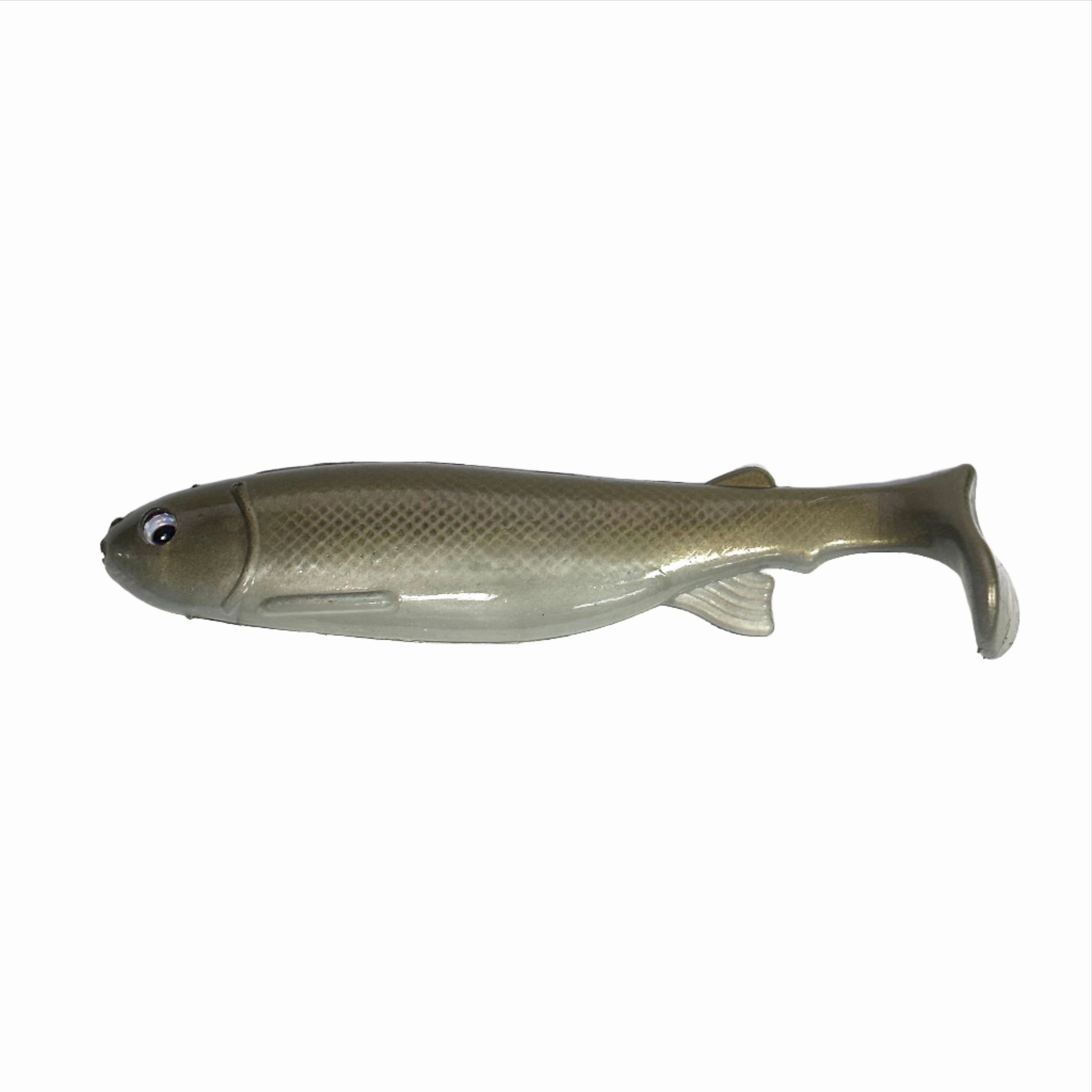 Bottom Dweller Swimbait Painted Shiner6