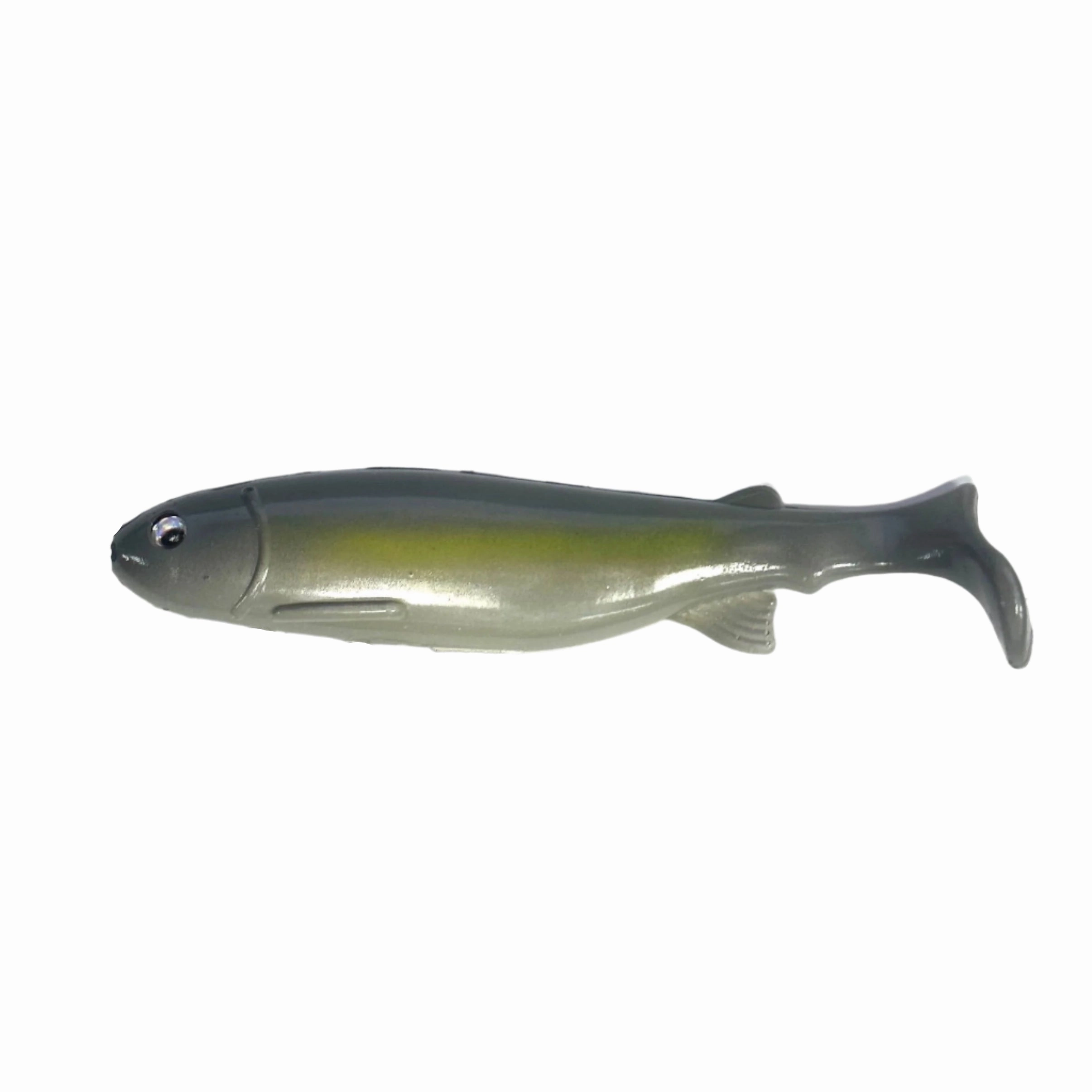 Bottom Dweller Swimbait Painted Shiner6