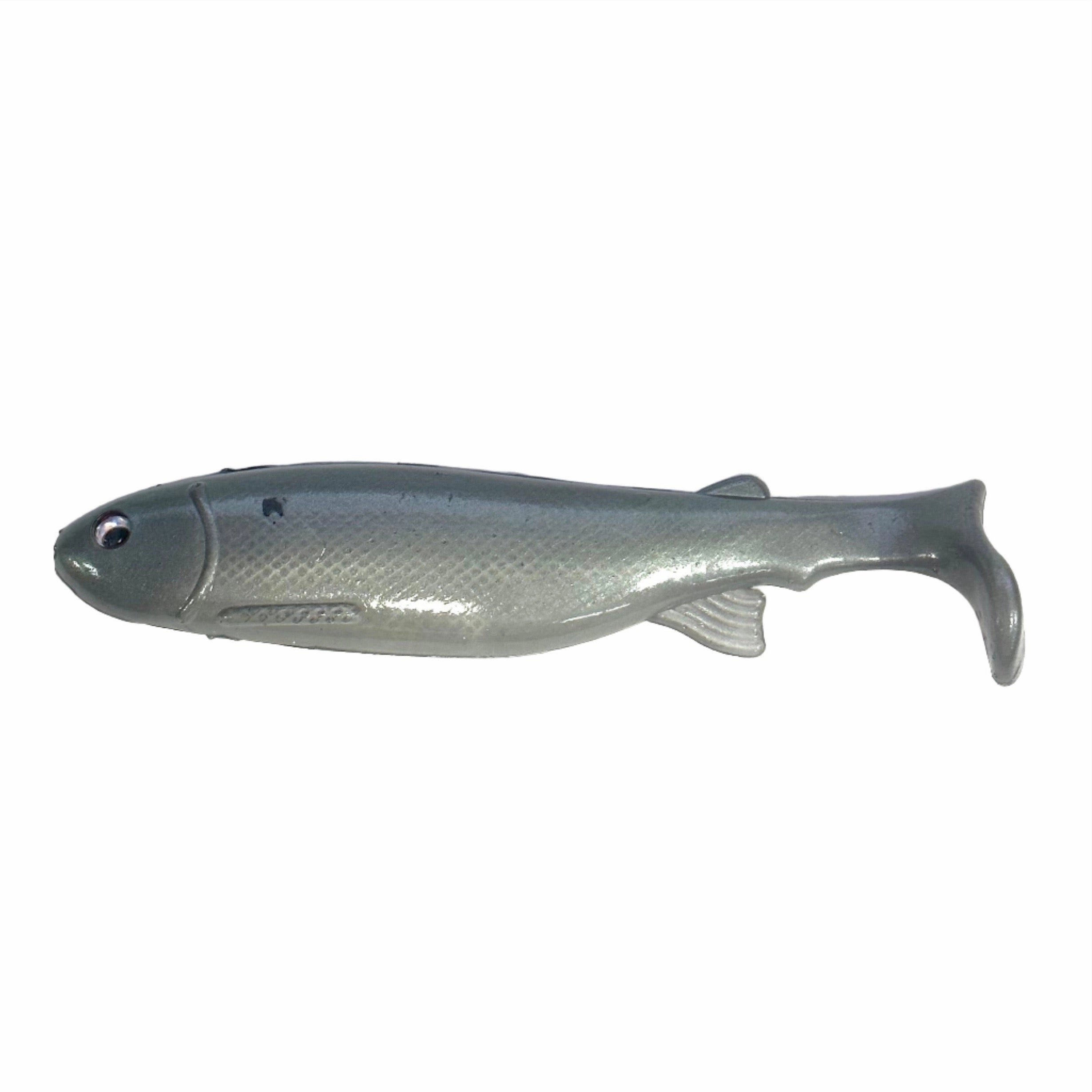 Bottom Dweller Swimbait Painted Shiner6