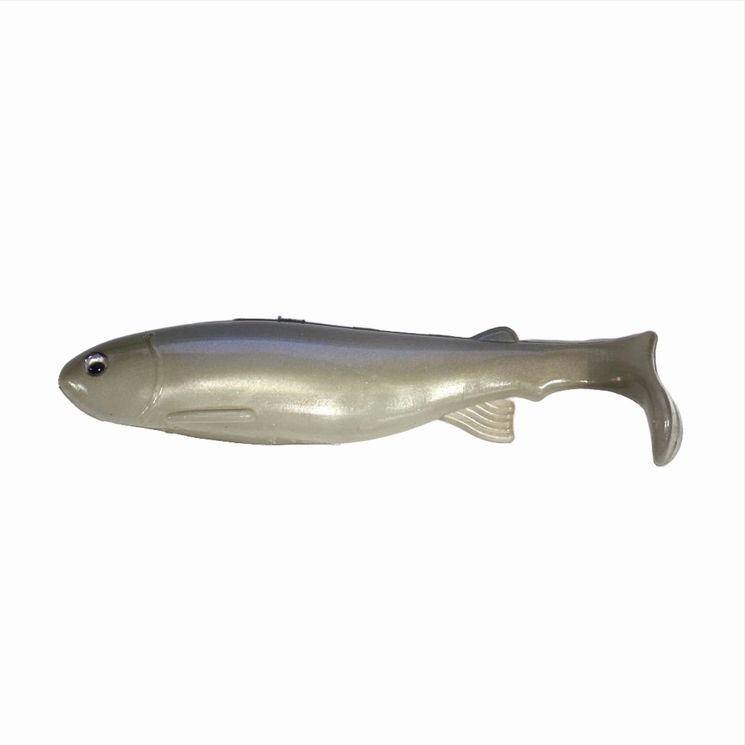 Bottom Dweller Swimbait Painted Shiner6