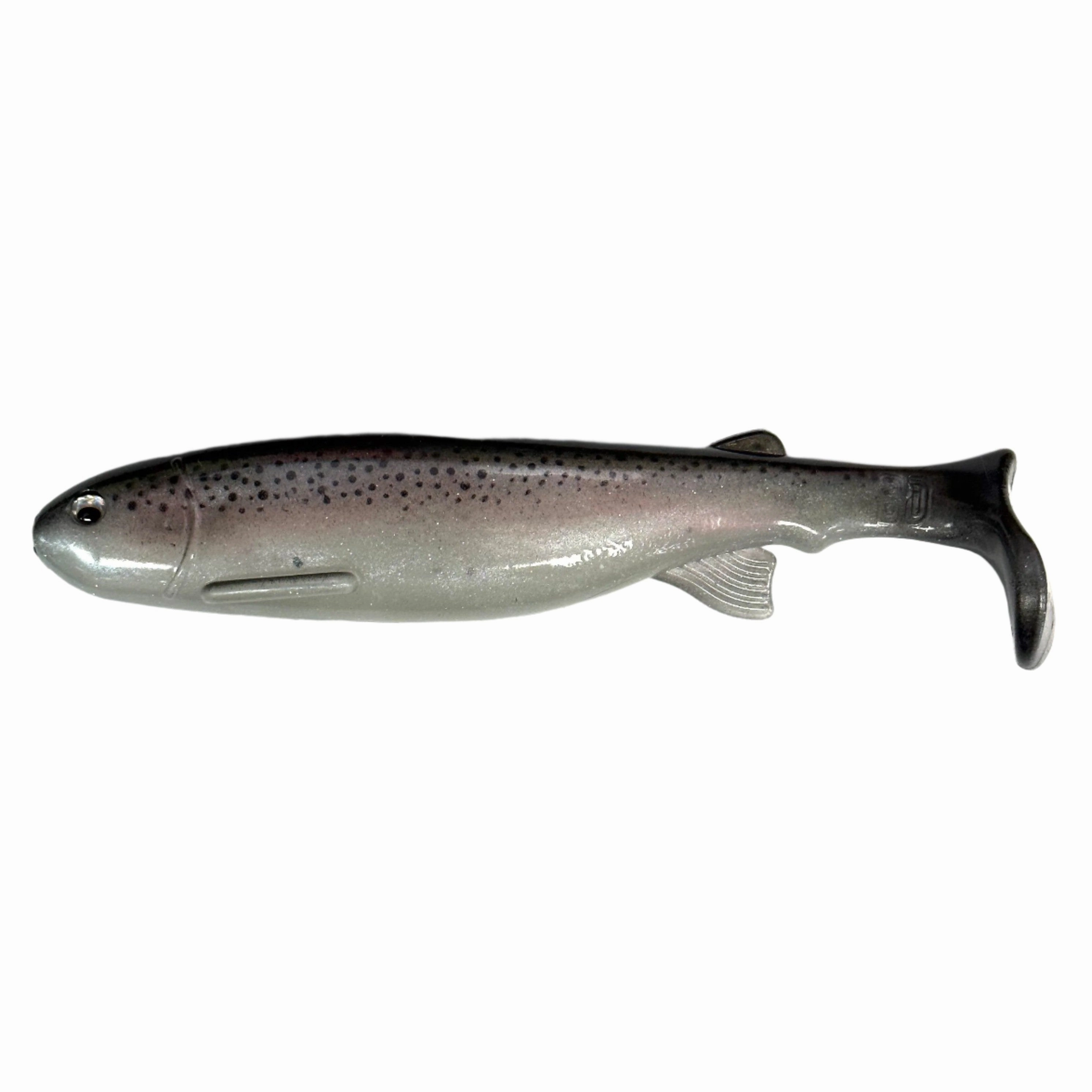 Bottom Dweller Swimbait Painted Shiner9