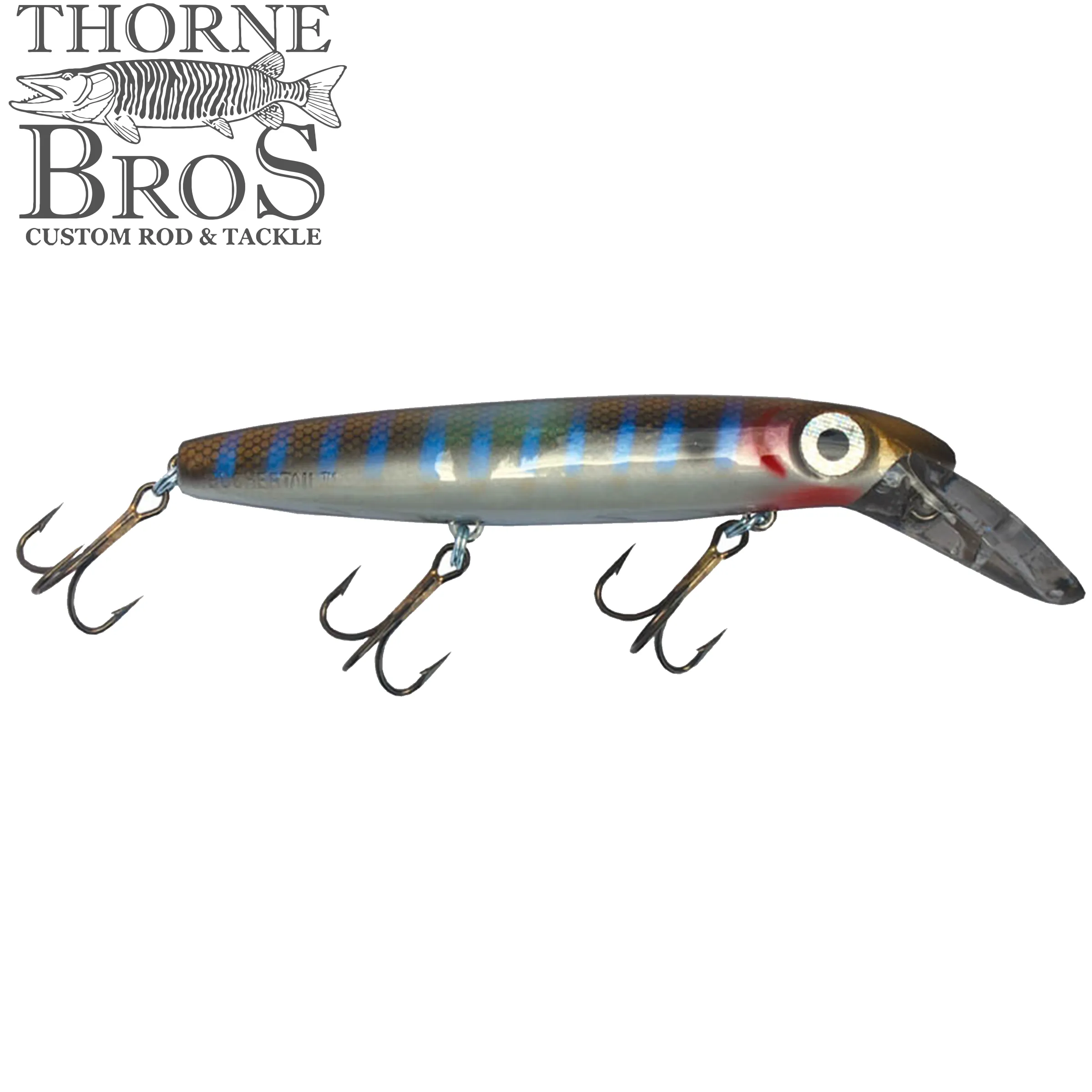 Bucher Depth Raider 6"