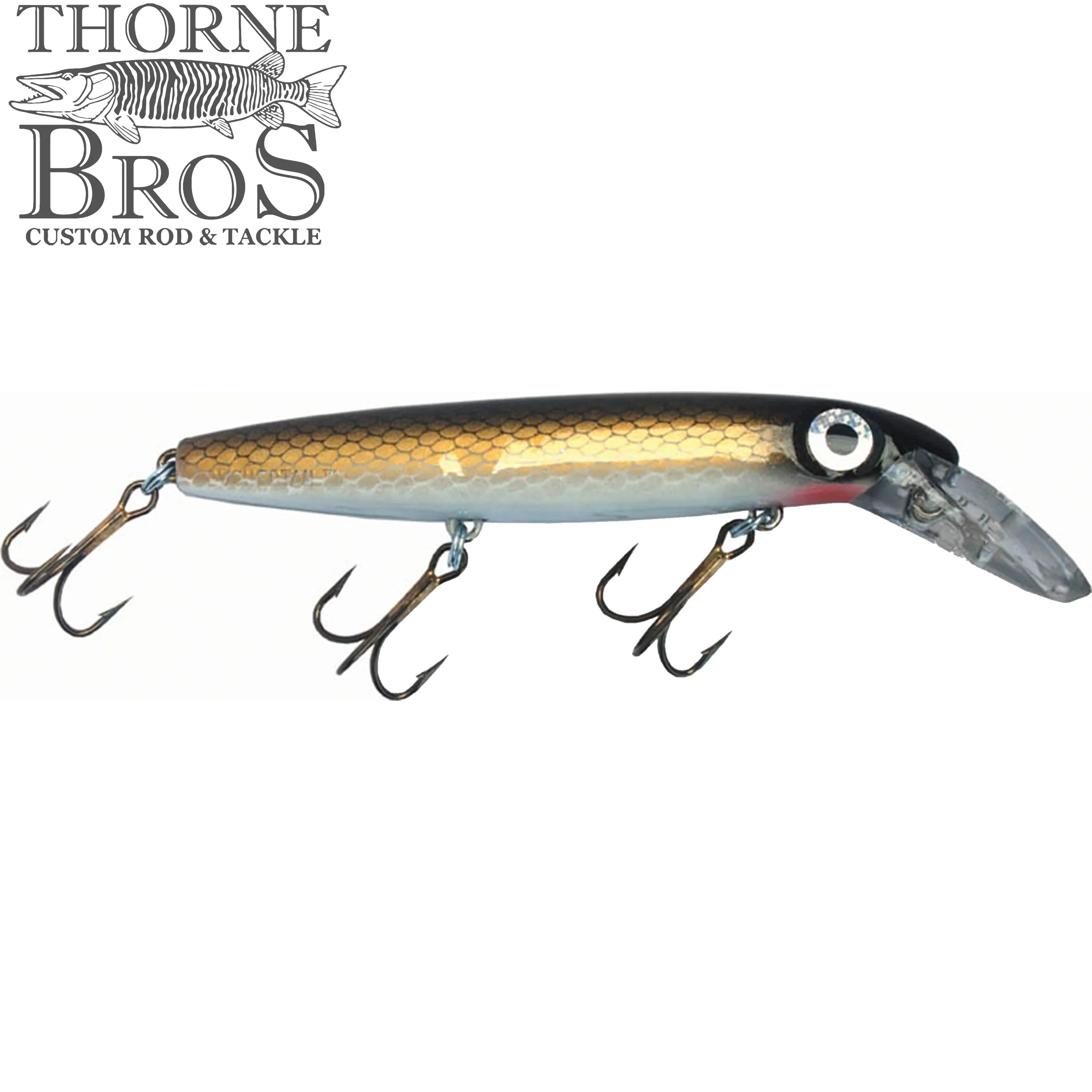 Bucher Depth Raider 8"