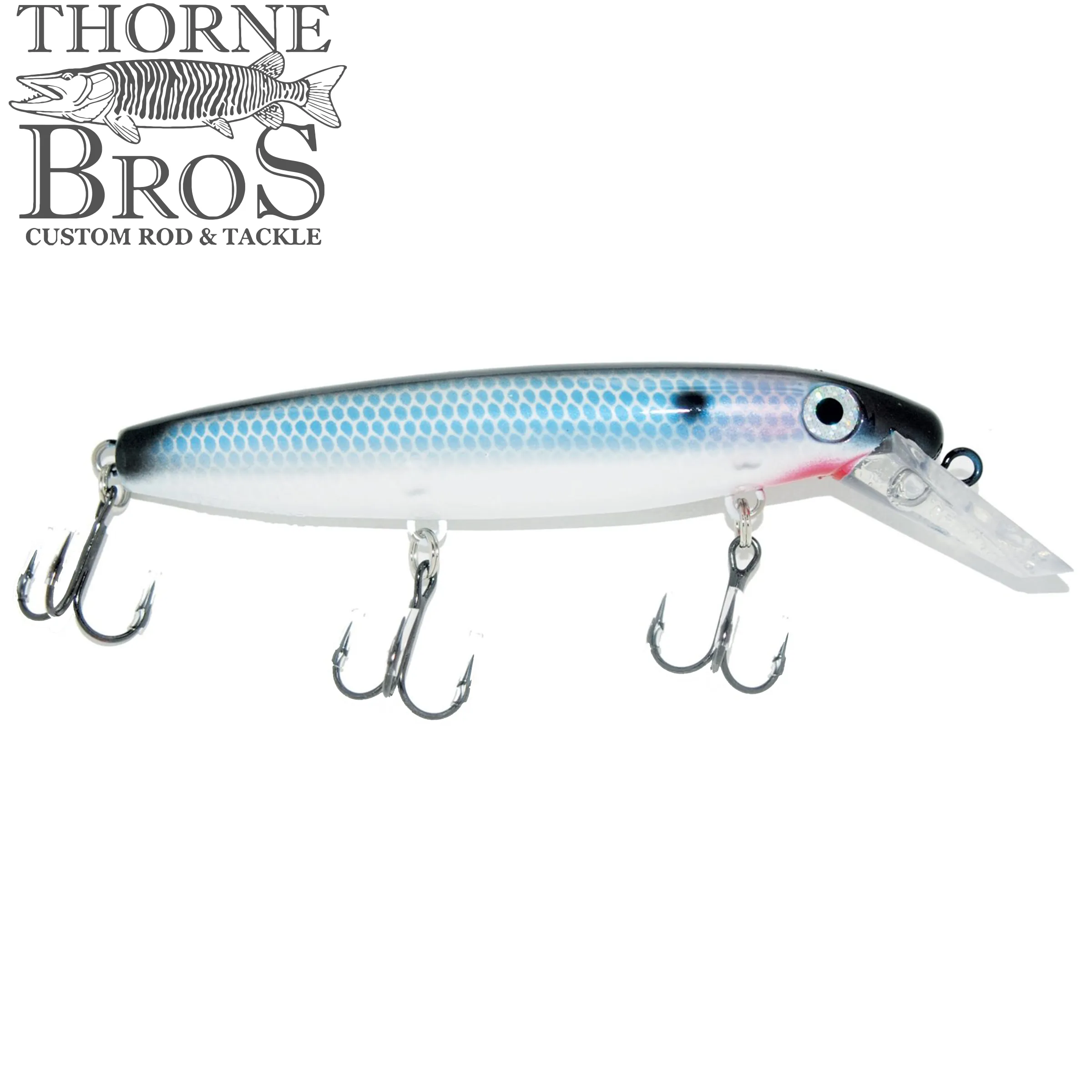 Bucher Depth Raider 8"