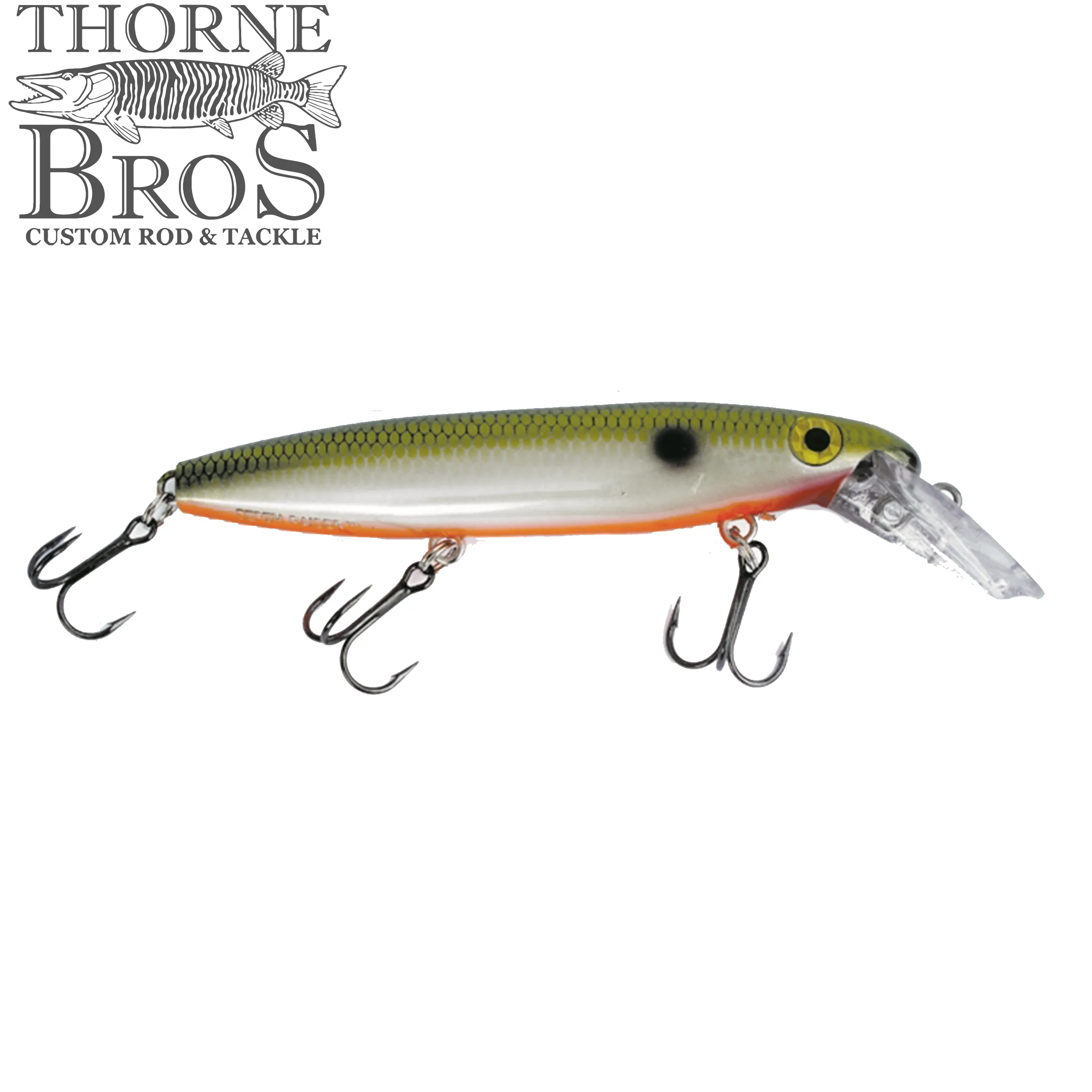 Bucher Depth Raider 8"