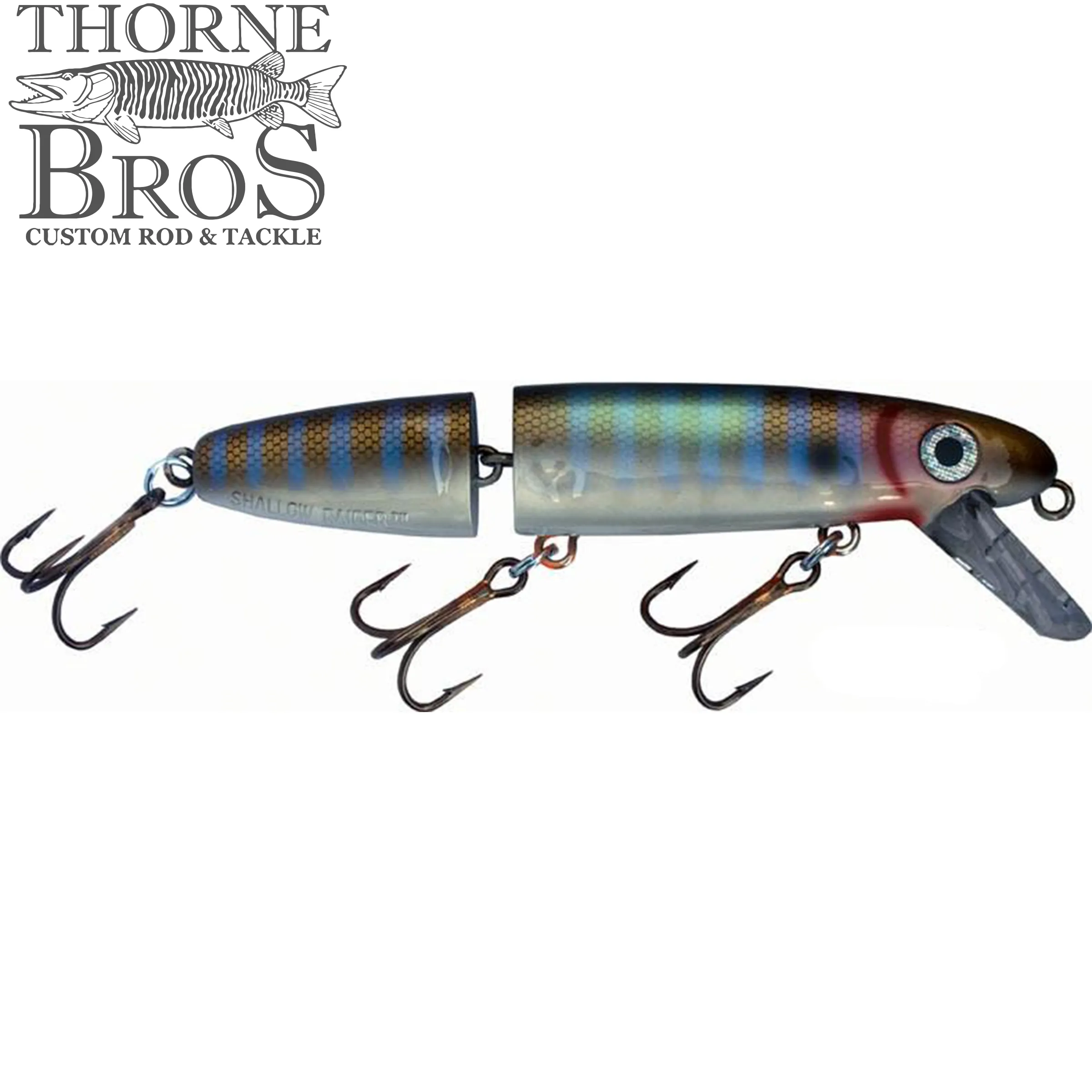 Bucher Shallow Raider Jointed 7"