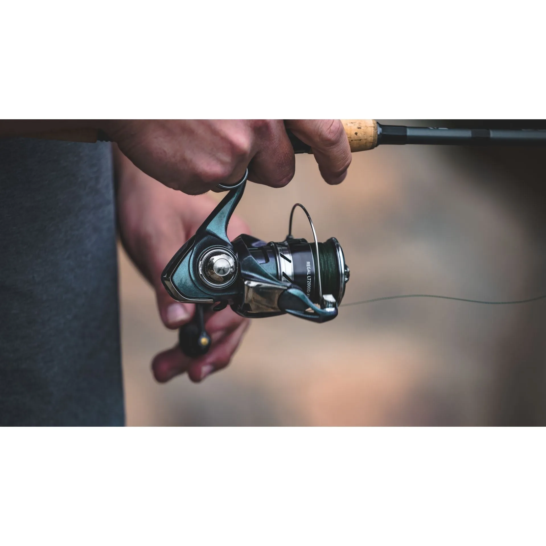 Daiwa Regal LT Spinning Reel