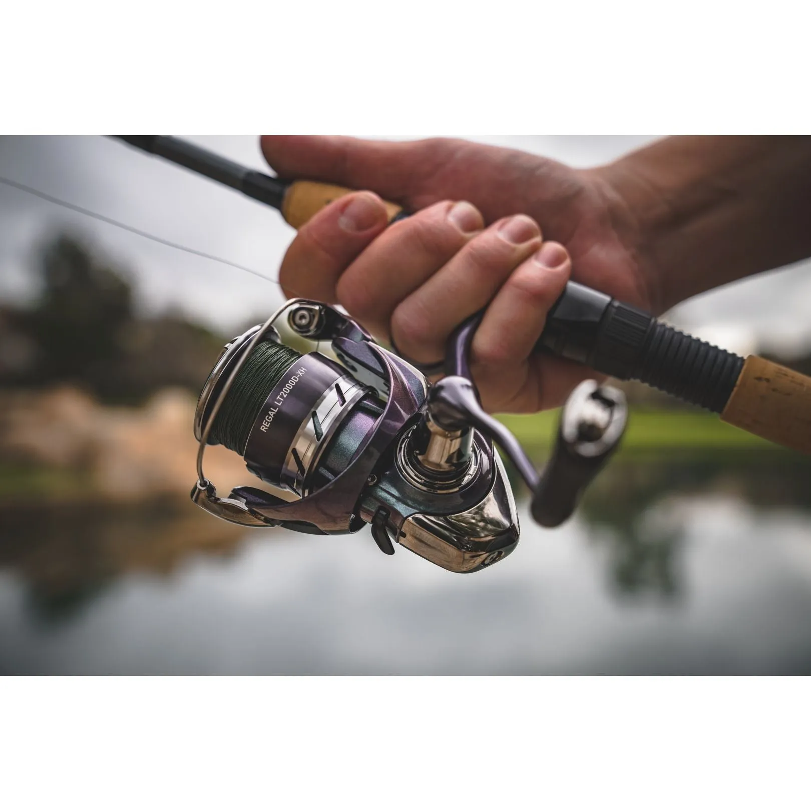 Daiwa Regal LT Spinning Reel