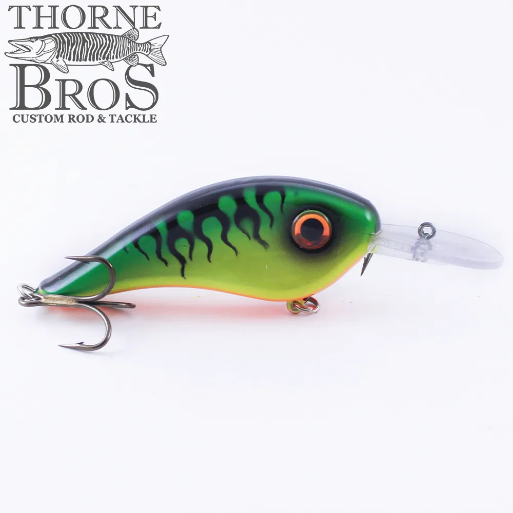 Llungen Chad Shad