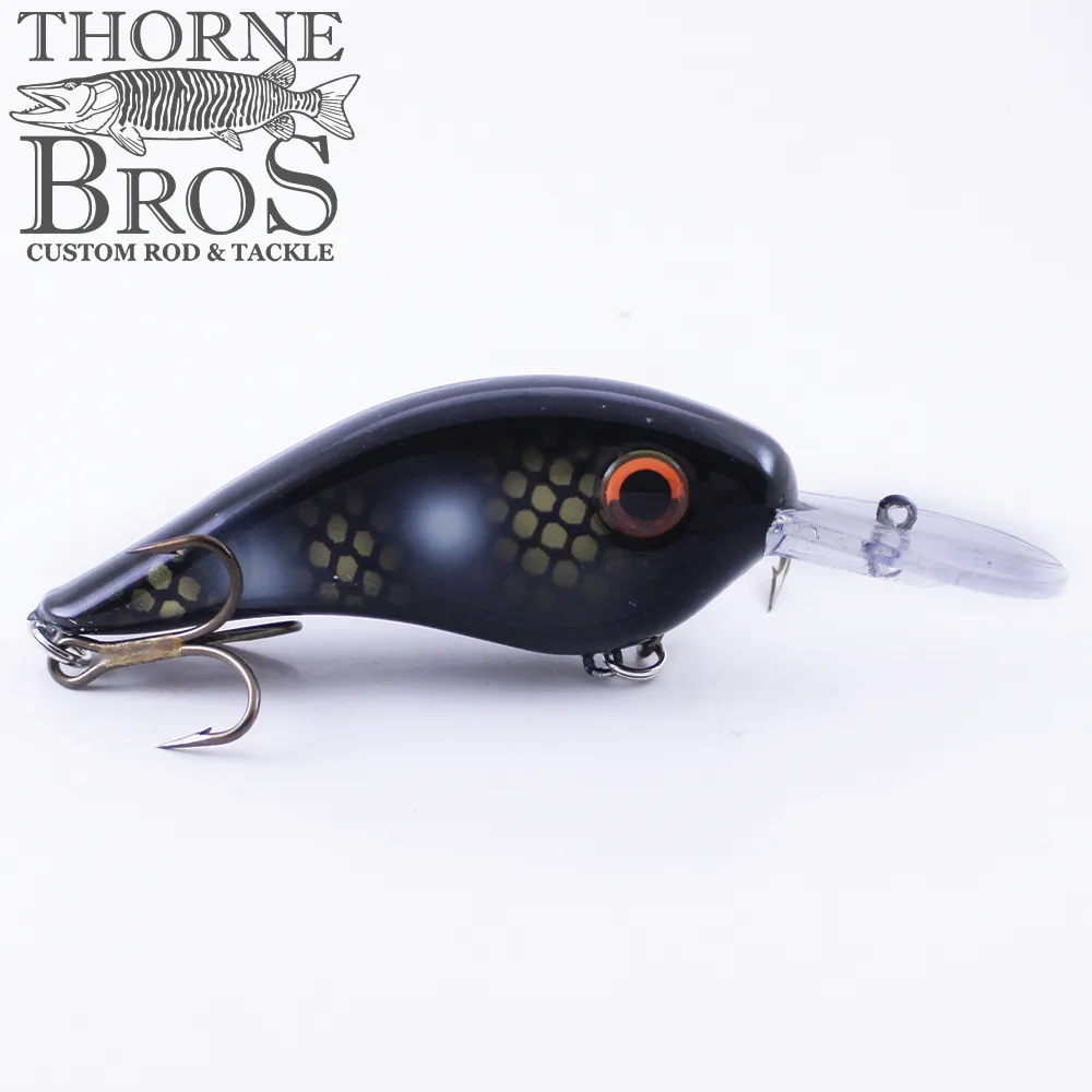 Llungen Chad Shad