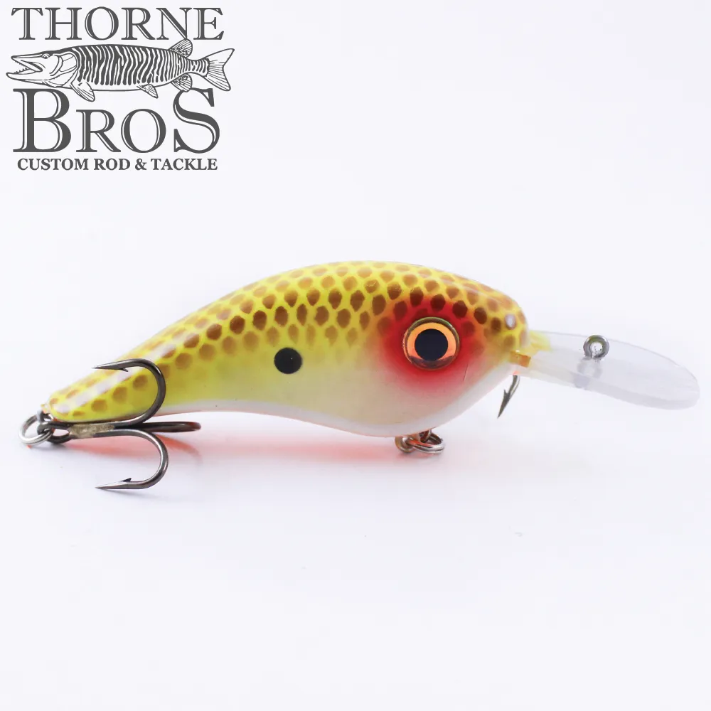 Llungen Chad Shad