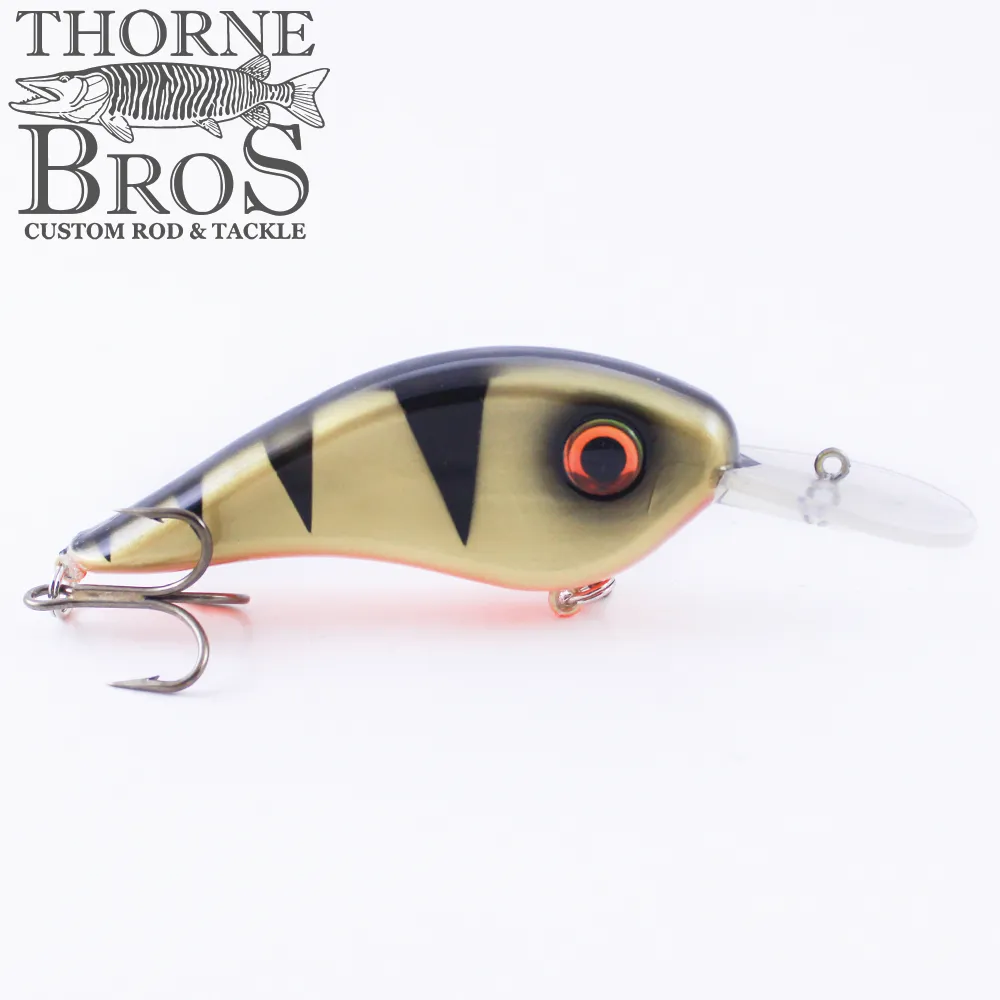 Llungen Chad Shad