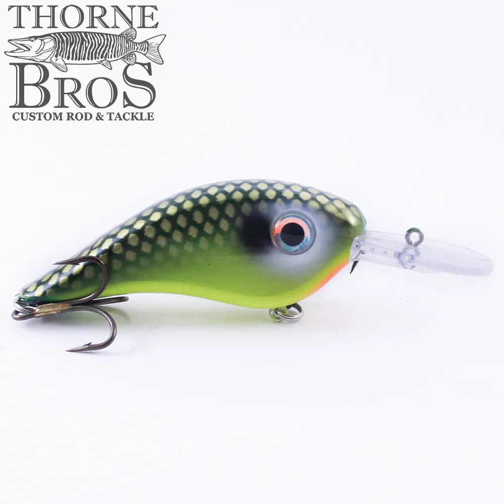 Llungen Chad Shad