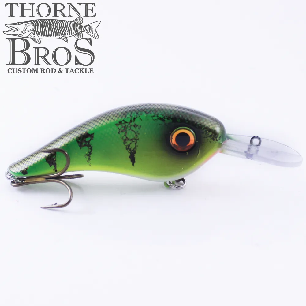 Llungen Chad Shad