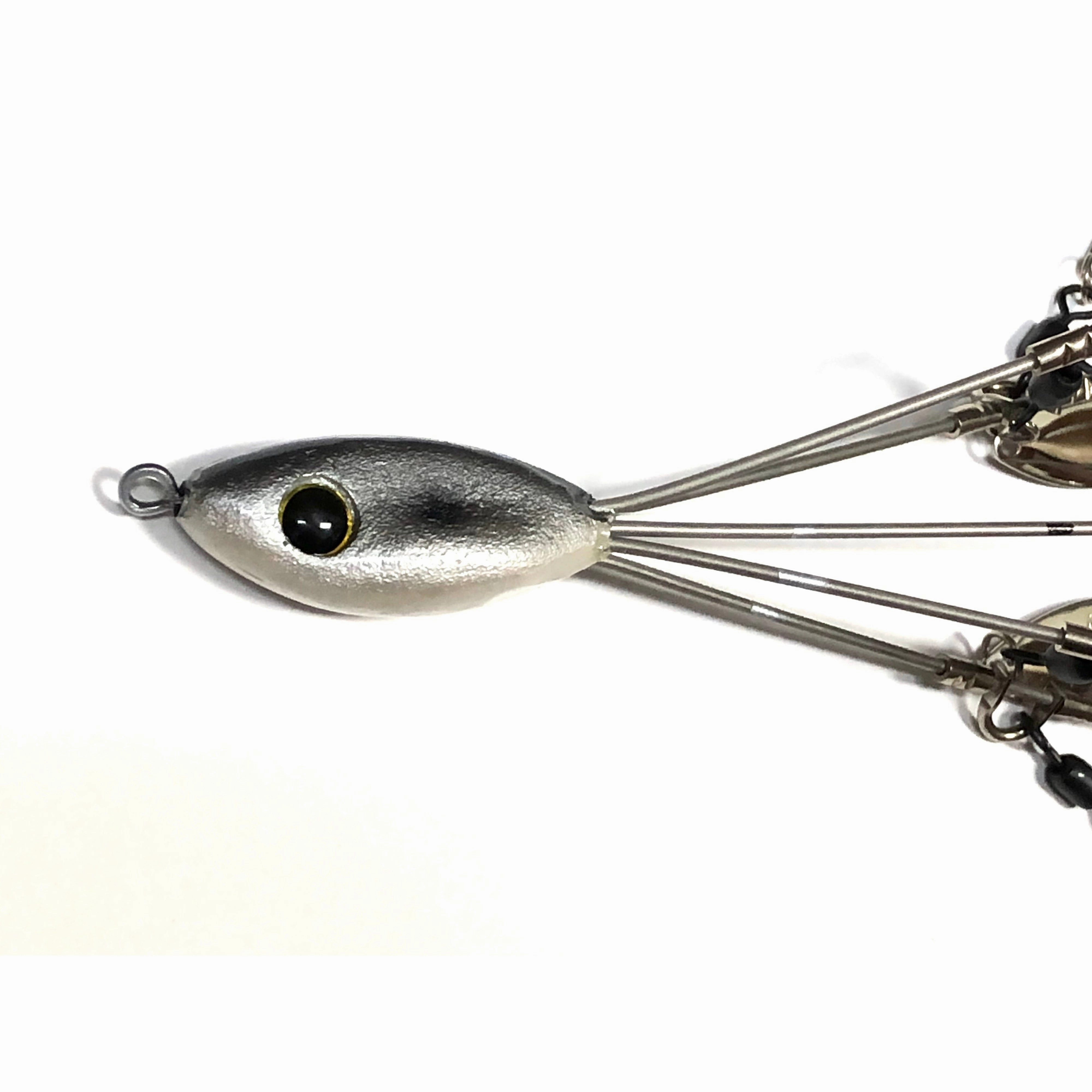 Picasso School-E-Rig