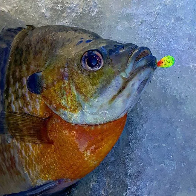RAINBOW TROUT BRIGHT UV TUNGSTEN JIG