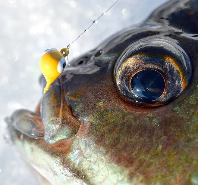 SCHOOL BUS YELLOW TUNGSTEN JIG