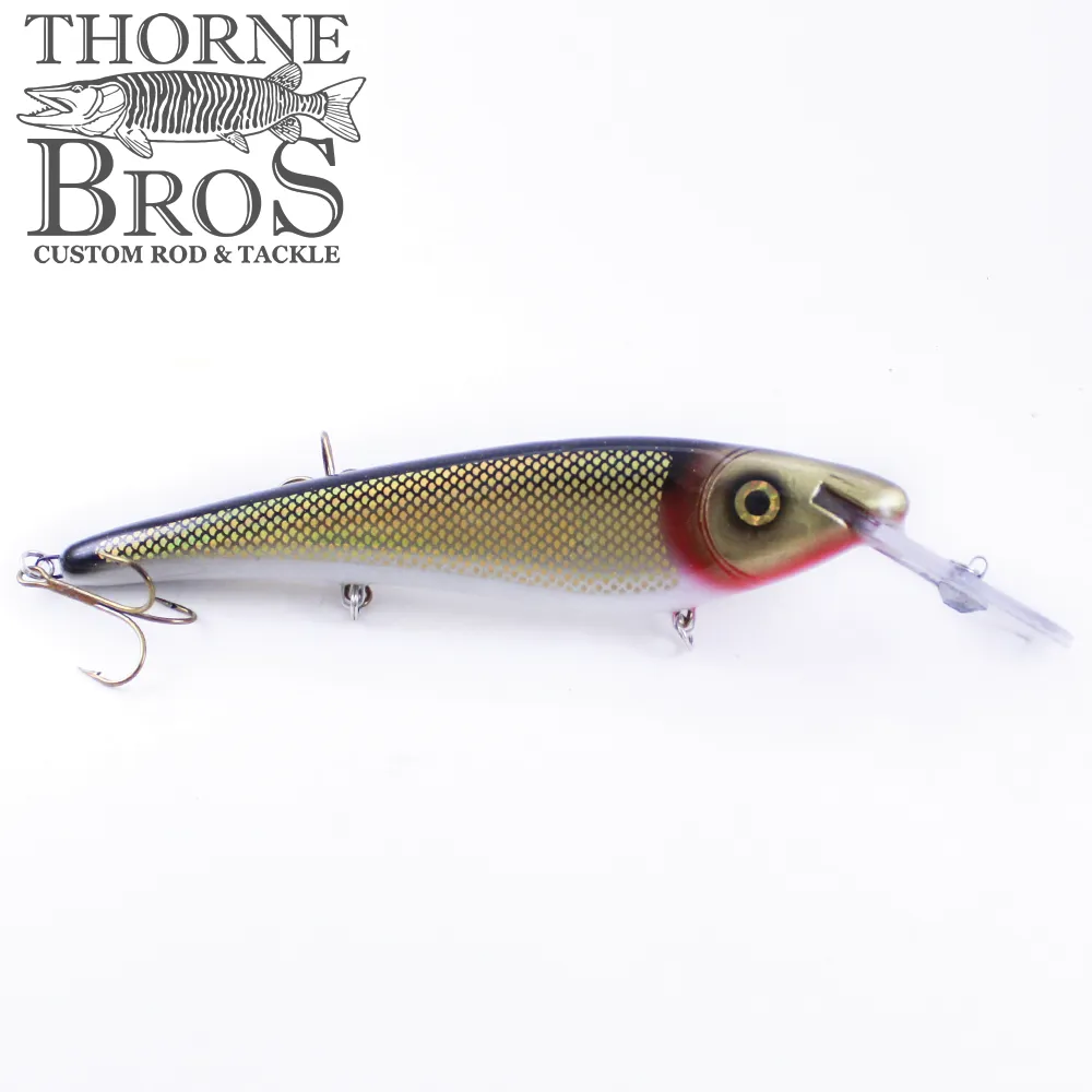 Slammer 10" Shallow Shad