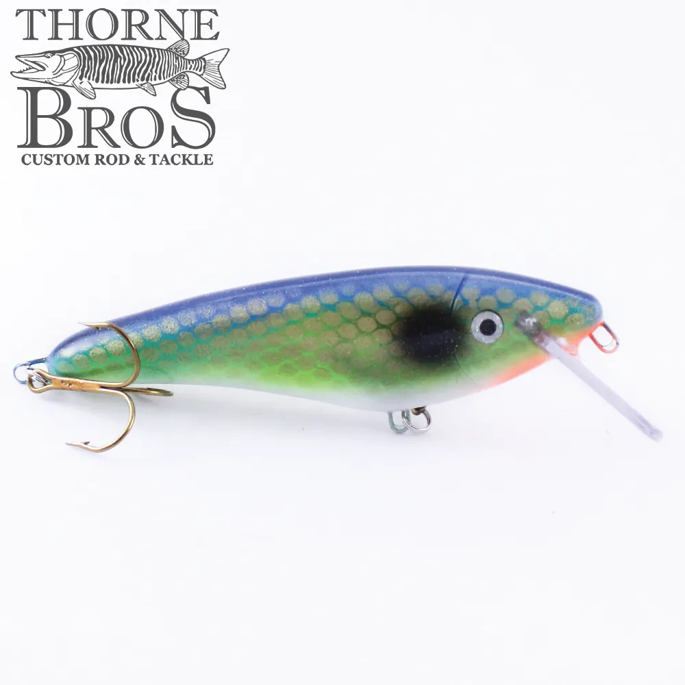 Slammer 5" Shad