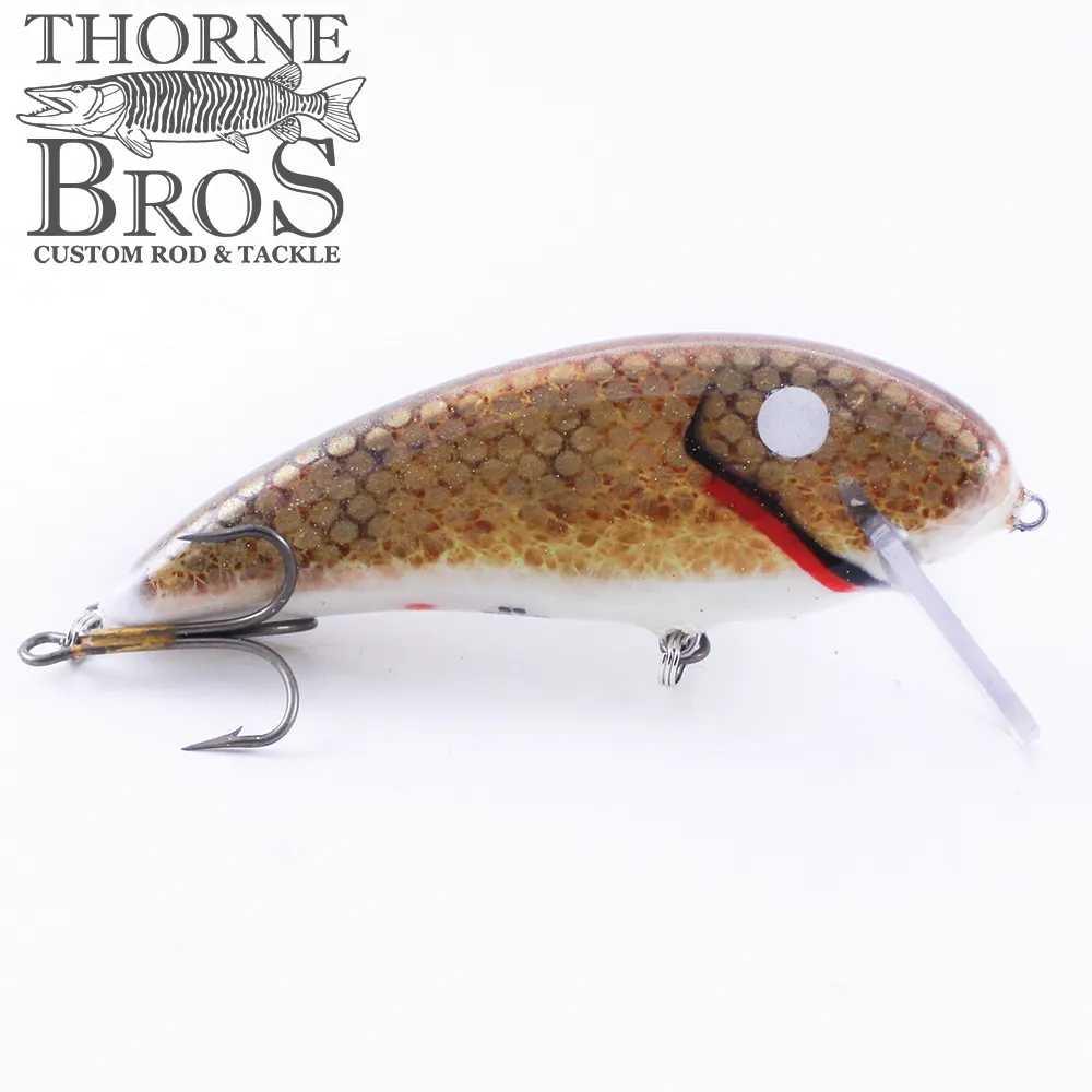 Smoker SS Shad
