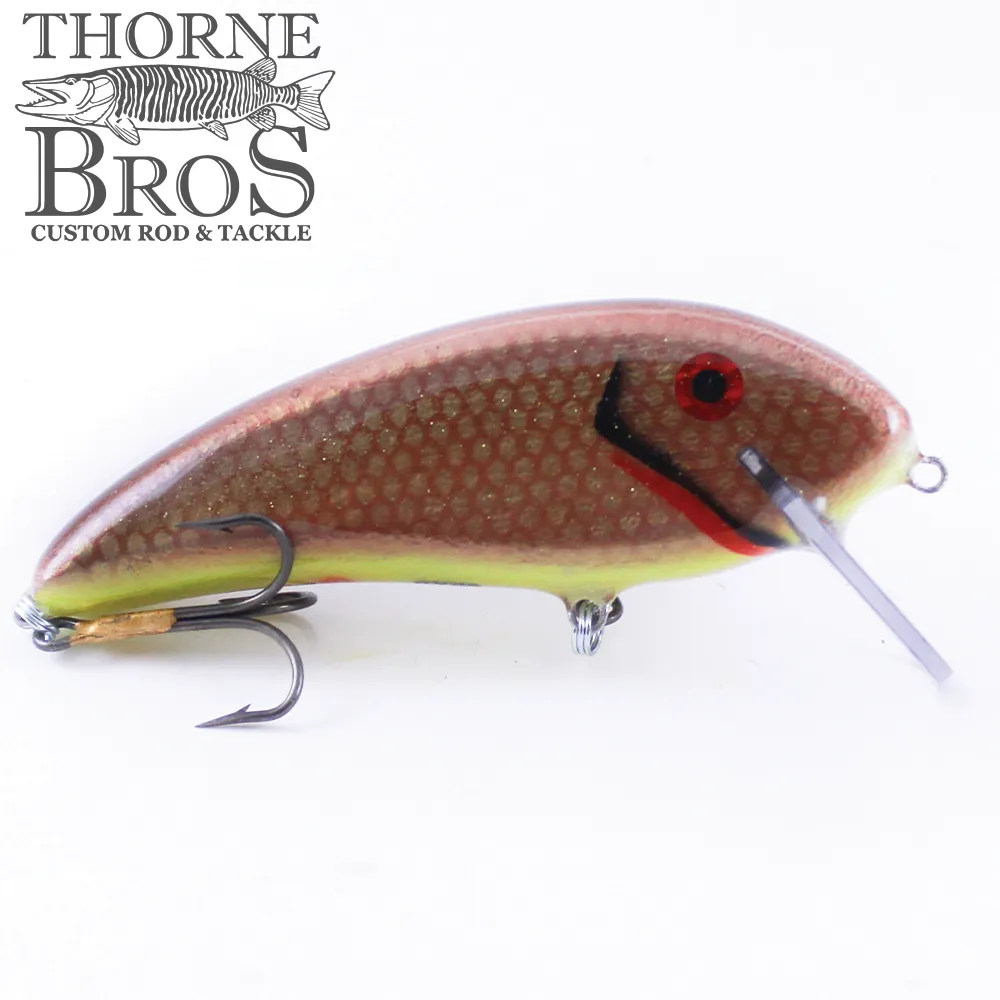 Smoker SS Shad