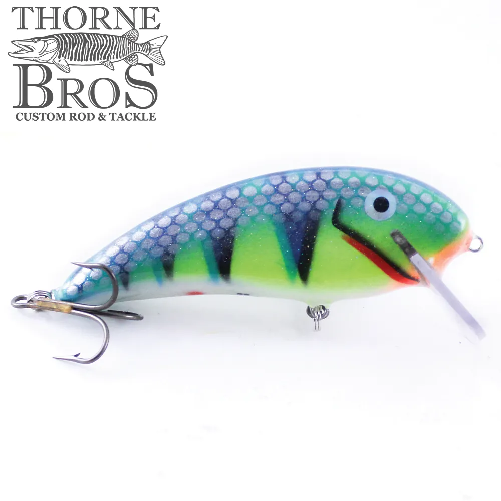 Smoker SS Shad