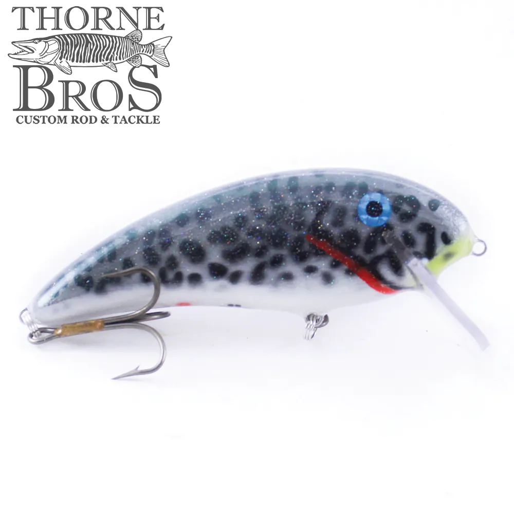Smoker SS Shad