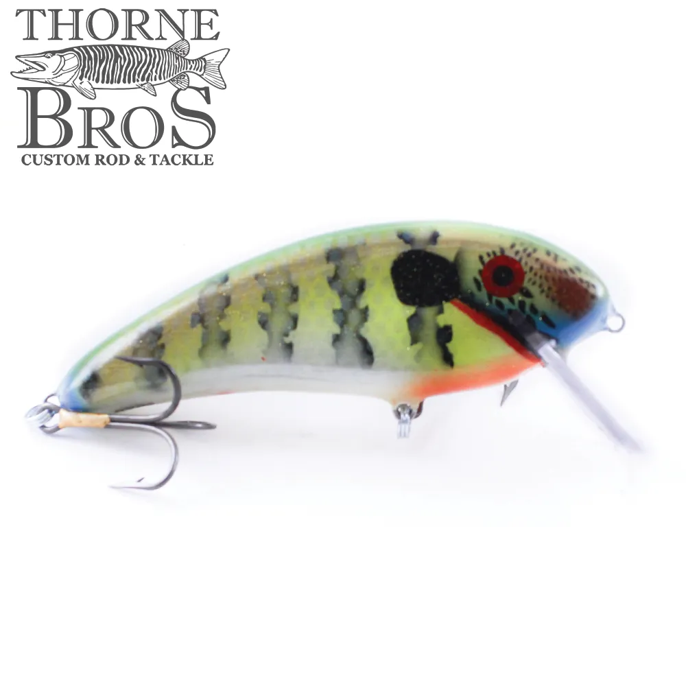 Smoker SS Shad